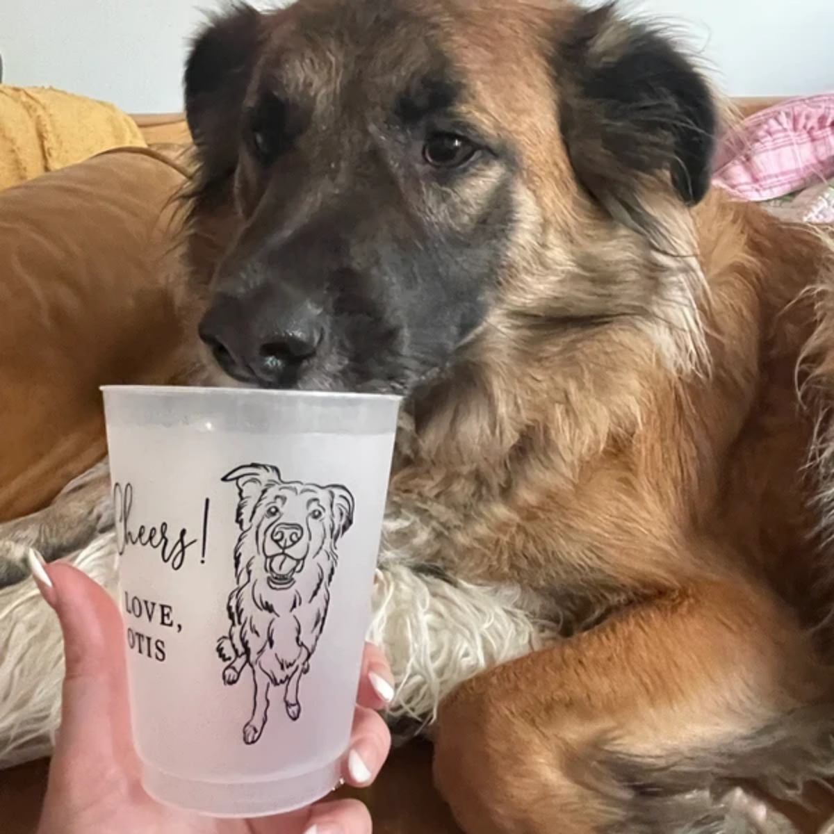 แก้วพลาสติกแบบฝ้าพิมพ์ลายภาพถ่ - Plastic Cup 50Pcs บทวิจารณ์และราคา